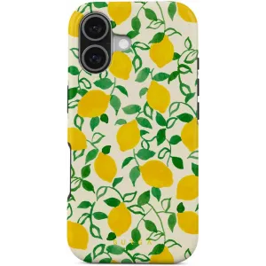 Burga Tough Back Cover hoesje met MagSafe voor Apple iPhone 17 - Capri